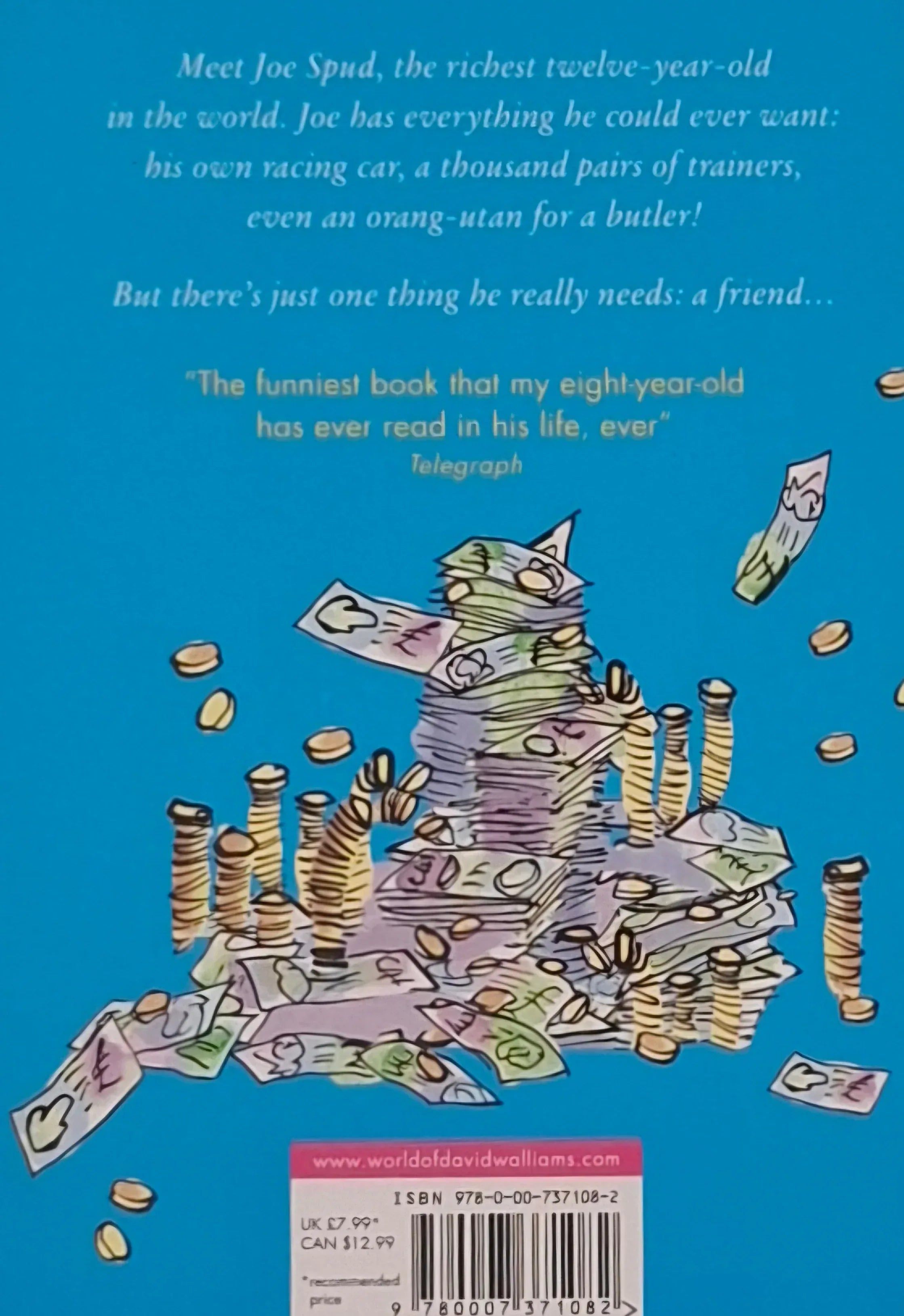 Billionaire Boy by David Walliams - Books4happiness 