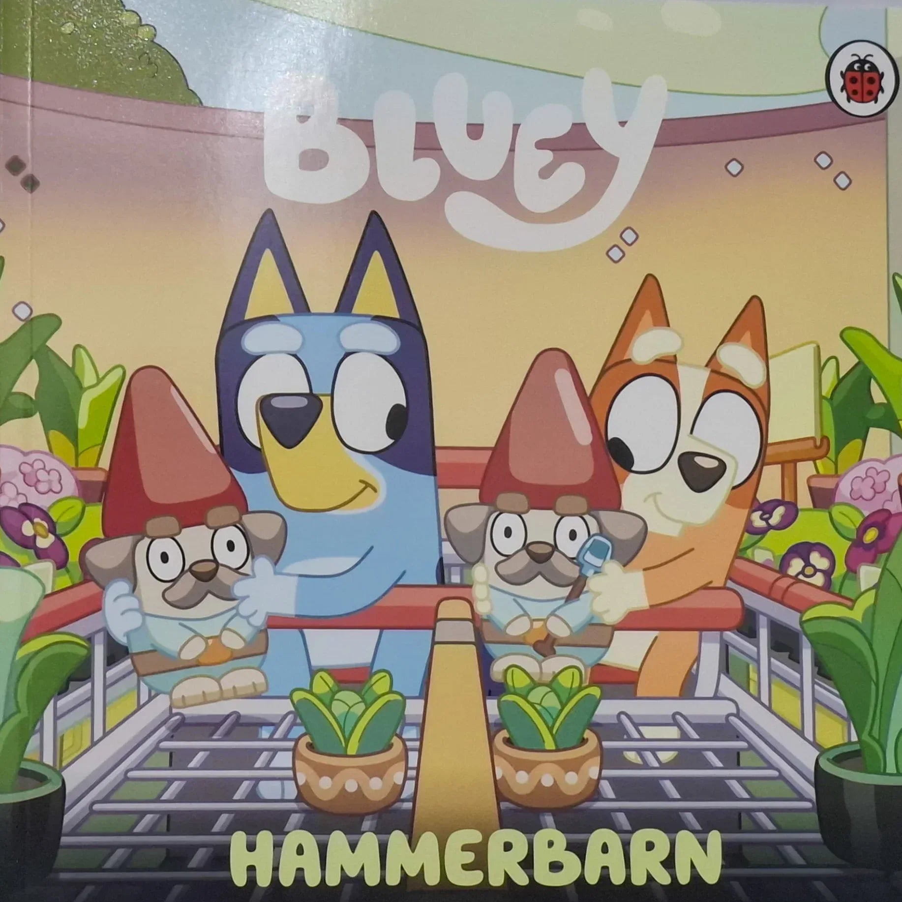 Bluey: Lets Do This! 10 book boxset - Books4happiness 