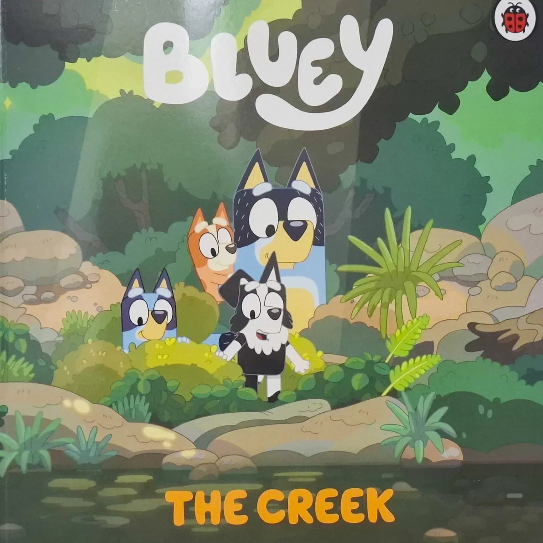 Bluey: Lets Do This! 10 book boxset - Books4happiness 