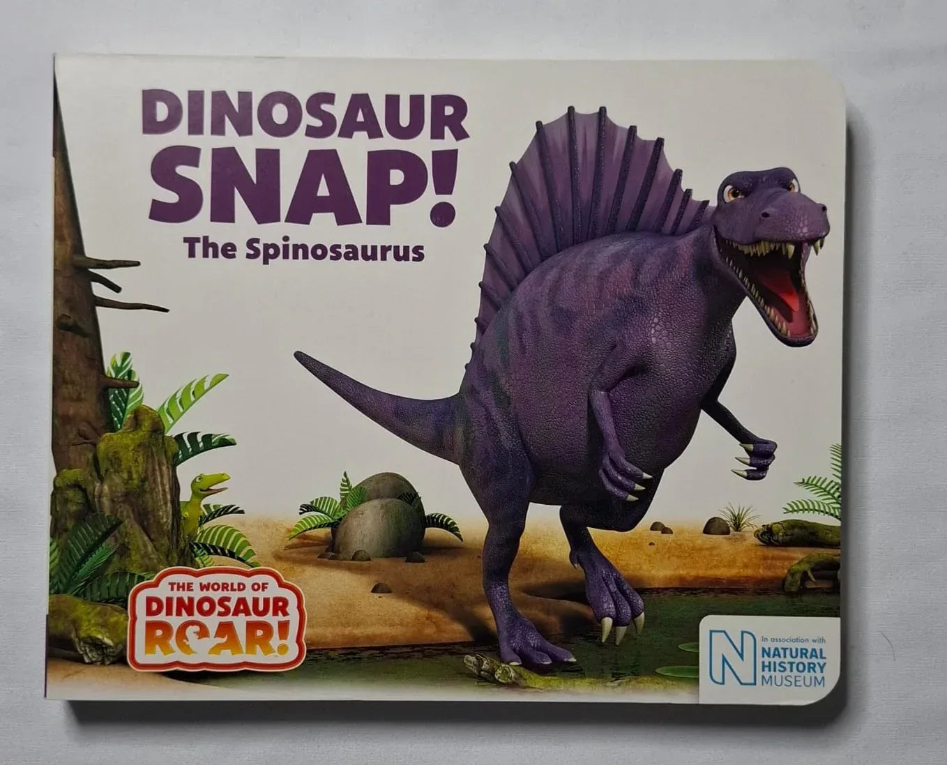 Dinosaur Roar Series - Books4happiness 