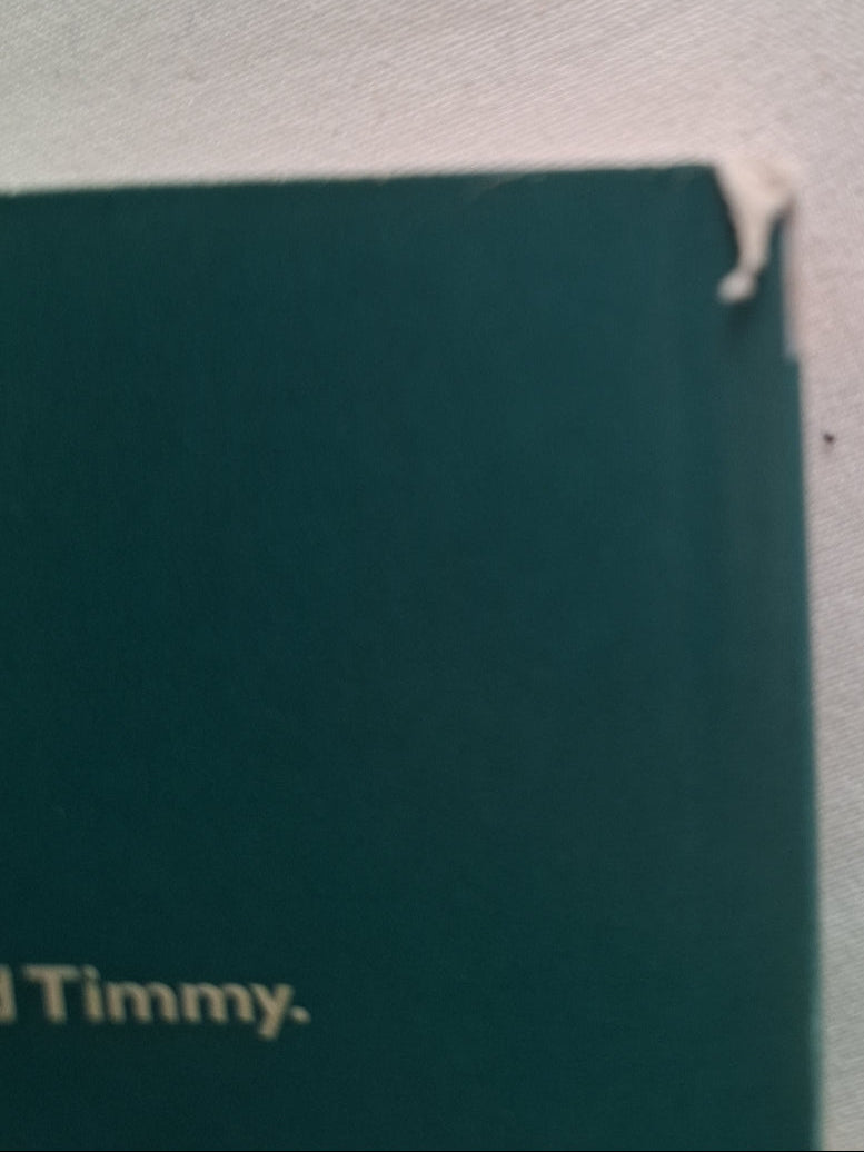 Paddington Goes To Town And Paddington Helps out